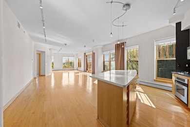 408 N 1st St unit 403, Minneapolis, MN 55401 - photo 4