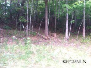 146 Rustic Trail unit 3, Arden, NC 28704 - photo 3