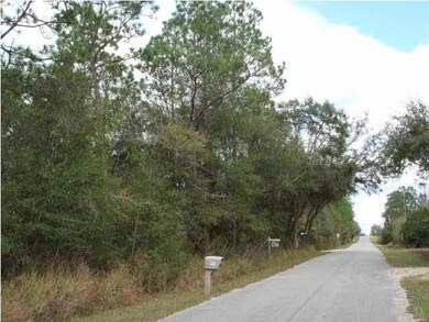 800 Tara Rd, Cantonment, FL 32533 - photo 4