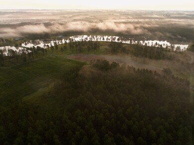 914 Douthit Rd, Sylvester, GA 31791 - photo 4