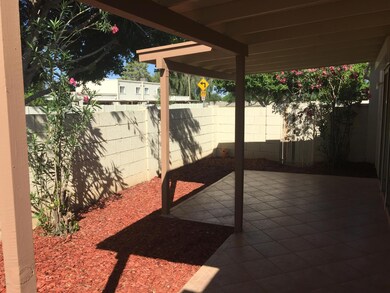 Back Patio 3