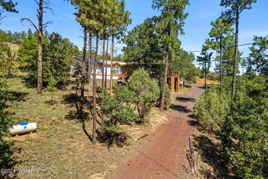 6228 Wildcat Trail S, Show Low, AZ 85901 - photo 4