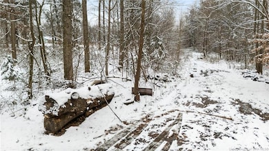 1357 N 3, Blocher, IN 47138 - photo 5