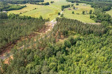 Lot 15 Stormi Way, Berry, AL 35546 - photo 5