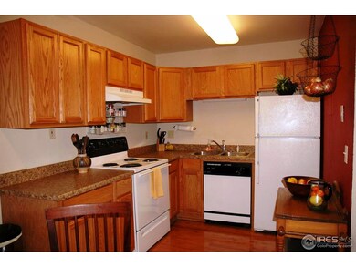 Kitchen (StainlessSteel Frig & Dishwasher now)
