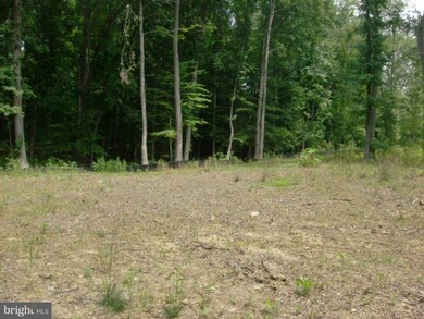 888 Mount Zion Marlboro Rd, Lothian, MD 20711 - photo 4