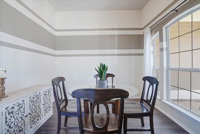 1608 Bridgeport Dr, Providence Village, TX 76227 - photo 4