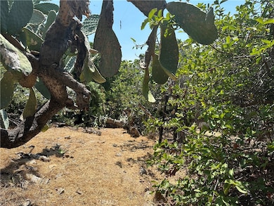 1941 Delta St, Los Angeles, CA 90026 - photo 2