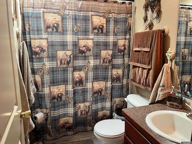 806 18th St, Wheatland, WY 82201 - photo 6