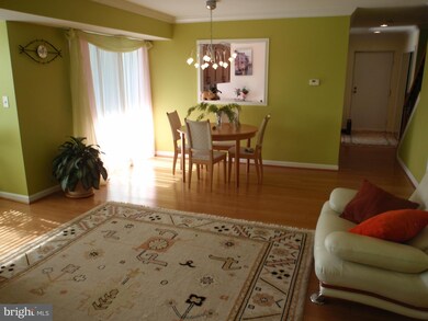 6903 Jones View Dr unit 3C, Baltimore, MD 21209 - photo 7