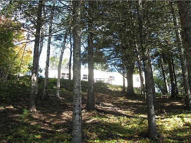 View. View from back yard
