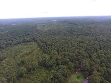 0 Pond Ln, Tennessee Ridge, TN 37178 - photo 6