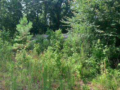 0 Candy Ln unit 10199196, Stantonville, TN 38379 - photo 6