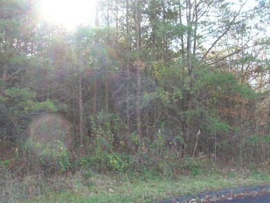 20170328183624737415000000-o