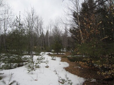 Woods