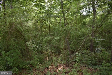 7 McKees Gap Rd, Warfordsburg, PA 17267 - photo 3