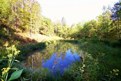 72 Acres with Pond