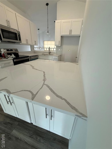 12910 Autumn View Dr, Saint Louis, MO 63146 - photo 7