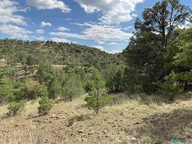 78 Lot Everest Point, Silver City, NM 88061 - photo 3
