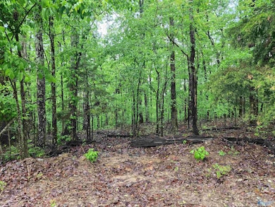 Lot 0 Huskey Mountain Rd, Laceys Spring, AL 35754 - photo 5