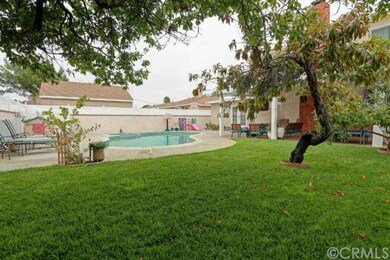 Grassy area and a peach, plum and strawberry guava tree
