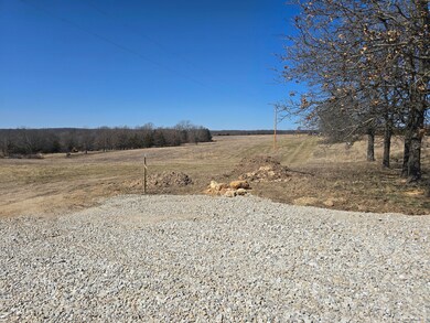 Tbd Highway 72, Salem, MO 65560 - photo 6