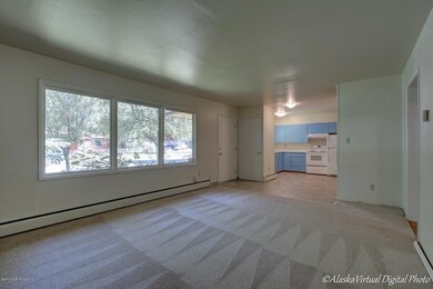 New carpeting & vinyl
