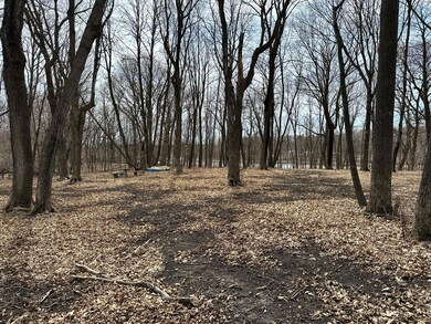 xxx Honeysuckle Ln SW, Kensington, MN 56343 - photo 5