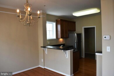 41947 Blue Flag Terrace unit 41947, Stone Ridge, VA 20105 - photo 4