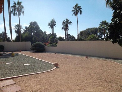 BackYardLowMaintenance