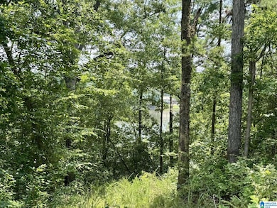 0 Wright Way Dr unit 21423149, Wedowee, AL 36278 - photo 7