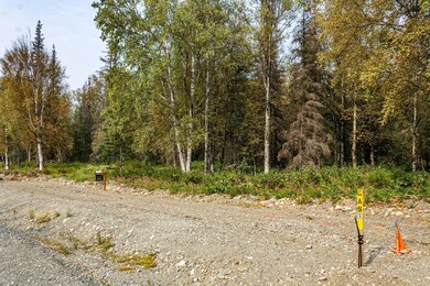 IMG_5233