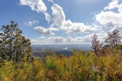 0 Hovering Hawk Dr unit 1326351, Jasper, TN 37347 - photo 3