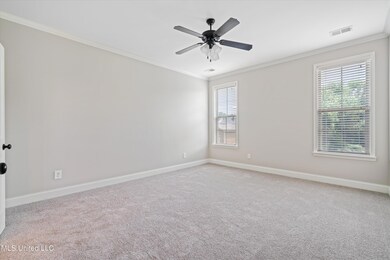 6919 N Hamilton Cir, Olive Branch, MS 38654 - photo 6
