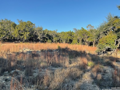 113 Champion Way, Spring Branch, TX 78070 - photo 3