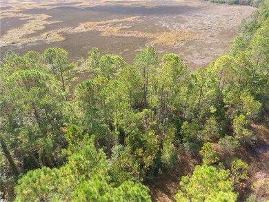 0 Confederate Point Dr unit 1657217, White Oak, GA 31568 - photo 3