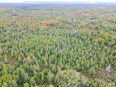 DJI_0798 - Copy-2
