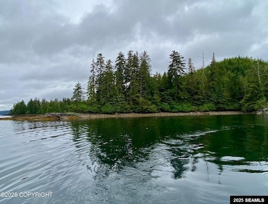 0 Legal Address Only unit Lot 4, Parcel E, US, Hollis, AK 99921 - photo 7