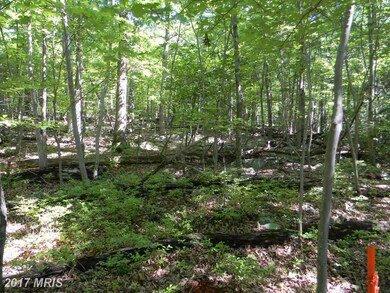 0 Back Rd unit 1003917327, Strasburg, VA 22657 - photo 3