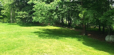 619 Old Buckeye Rd, Buckeye, WV 24924 - photo 5