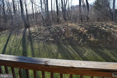 23200 Scholl Manor Way unit 1312, Clarksburg, MD 20871 - photo 7