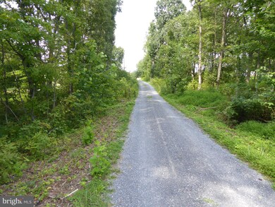 1112 Off I L Pugh Rd, Bloomery, WV 26817 - photo 2