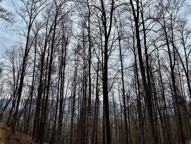 unlisted-address, Barkers Creek, NC 28789 - photo 5