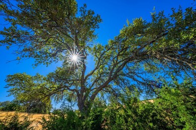 147 Cattlemans Crossing Dr unit 147, Kerrville, TX 78028 - photo 4