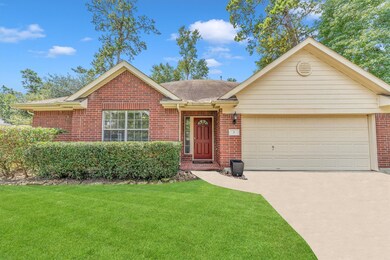 3 Olde Rose Ct, Spring, TX 77382 - photo 3