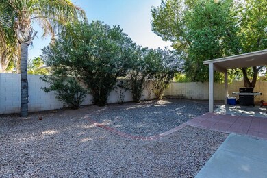 Whitten Backyard 2
