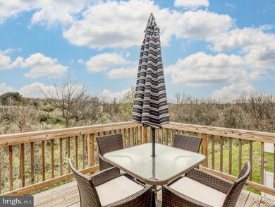 173 Schramm Loop, Stephens City, VA 22655 - photo 2