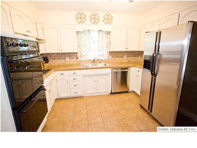 Kitchen has lots of cabinet space and natural ligh