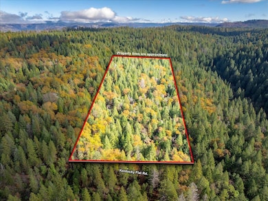 0 Kentucky Flat Rd unit 225140786, Georgetown, CA 95634 - photo 3