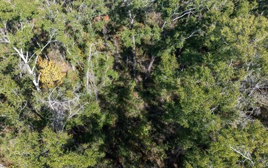TBD Cr 349, Obrien, FL 32071 - photo 7